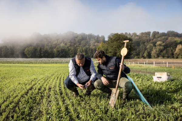 Job Types